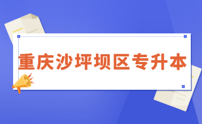 21年重庆统招专升本沙坪坝区