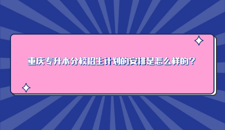 重庆专升本分校招生计划的安排是怎么样的？.jpg