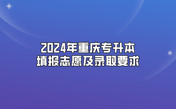 2024年重庆专升本填报志愿及录取要求