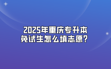 2025年重庆专升本免试生怎么填志愿？