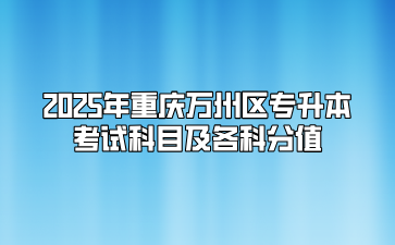 2025年重庆万州区专升本考试科目及各科分值