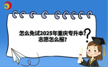 怎么免试2025年重庆专升本？志愿怎么报？