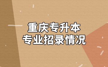 2024年重庆专升本计算机网络技术专业招录情况汇总！