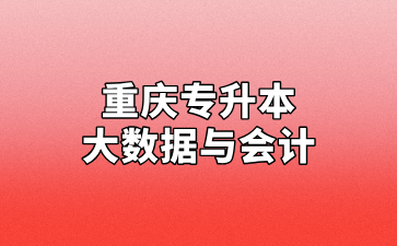 2024年重庆专升本大数据与会计专业招录情况汇总！