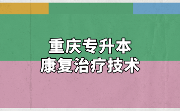 2024年重庆专升本康复治疗技术专业招录情况汇总