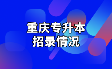 2024年重庆专升本计算机应用技术专业招录情况汇总